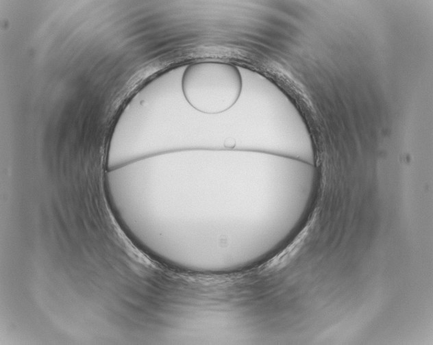 X0000088571033200706151641