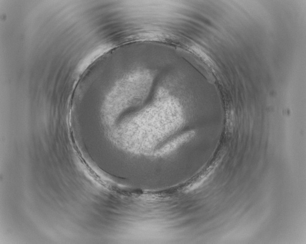 X0000088571034200706151641