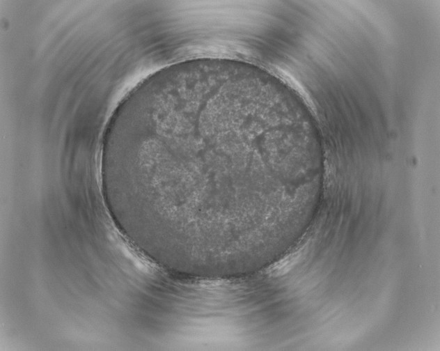 X0000088571035200706151641