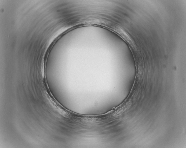 X0000088571036200706151641