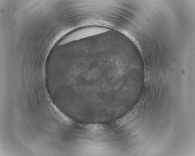 X0000088571037200706151641