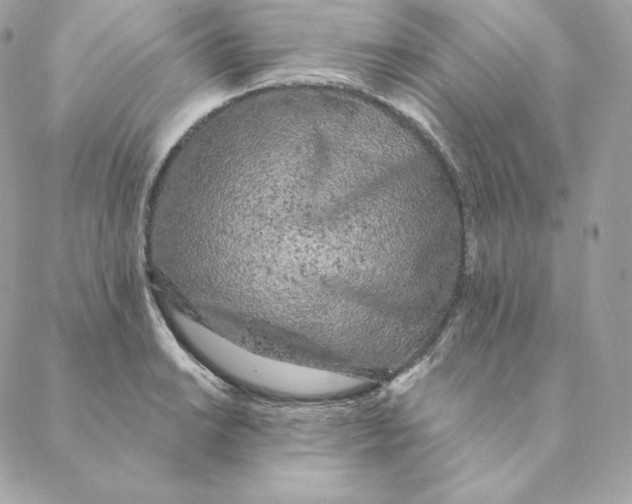 X0000088571038200706151641