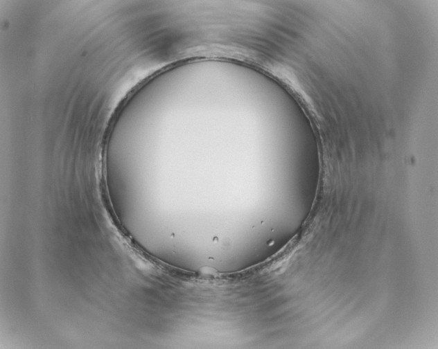 X0000088571040200706151641