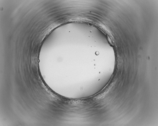 X0000088571041200706151641