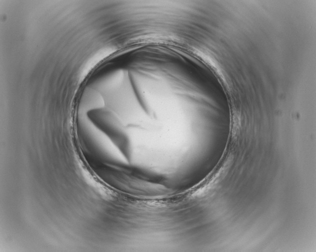 X0000088571042200706151641