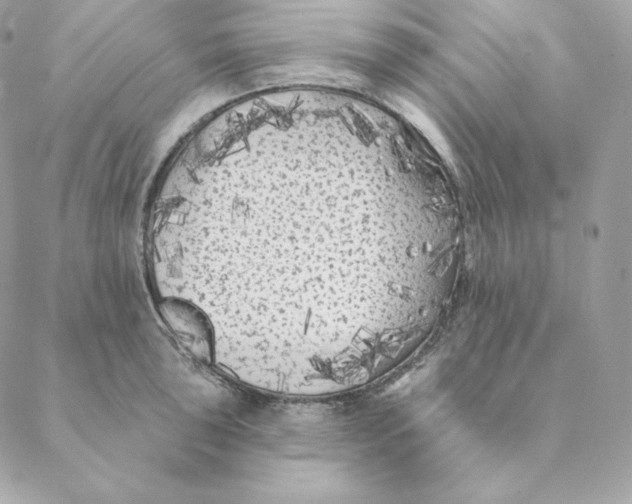 X0000088571043200706151641