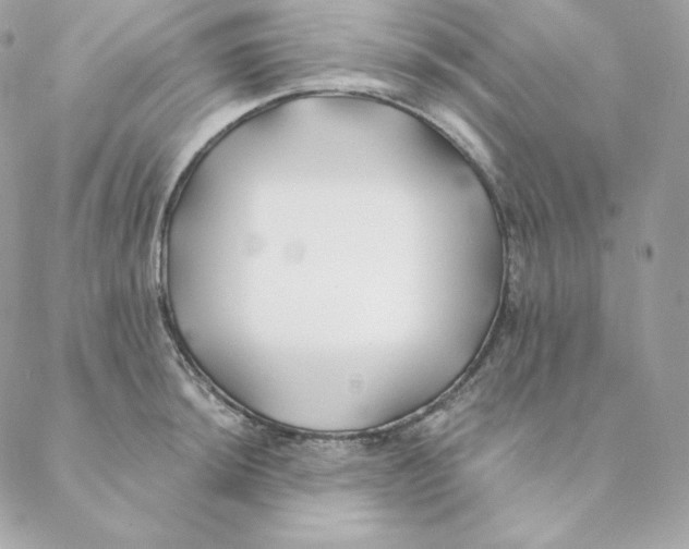 X0000088571044200706151641