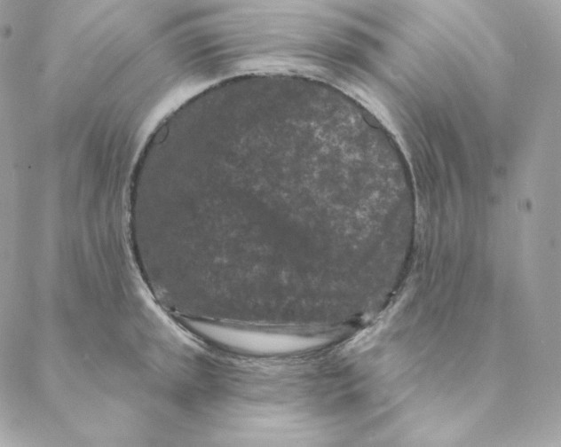 X0000088571045200706151641