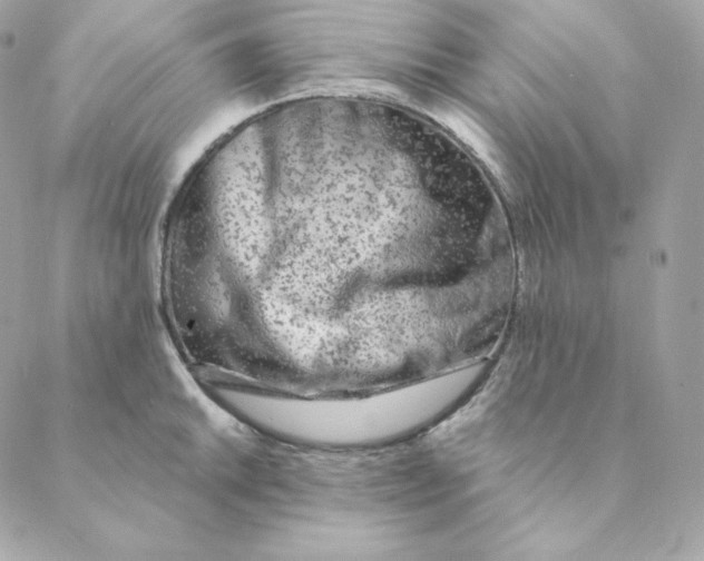 X0000088571046200706151641