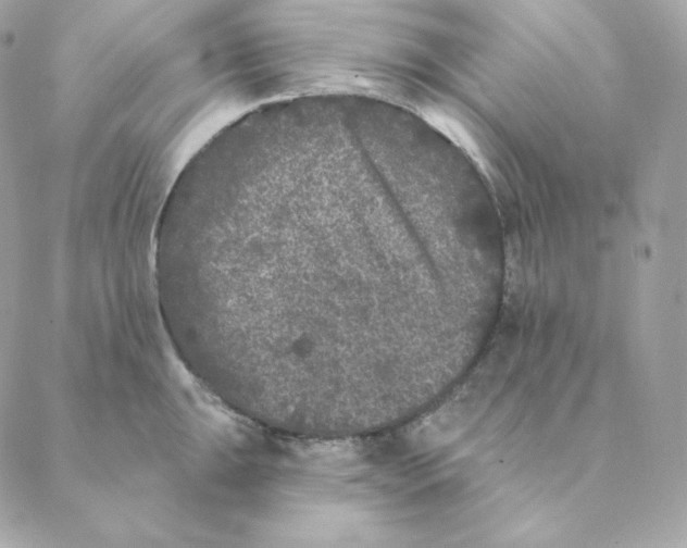 X0000088571047200706151641