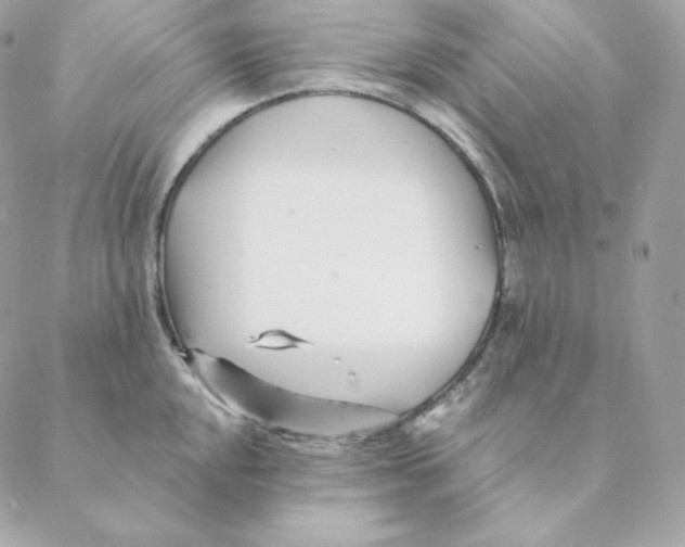 X0000088571048200706151641