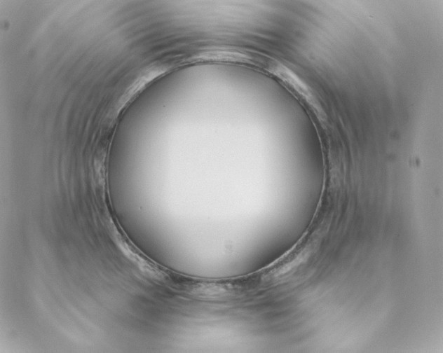 X0000088571049200706151641