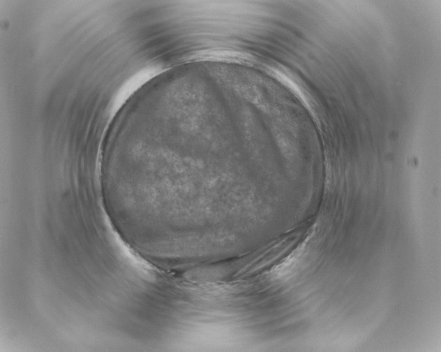 X0000088571050200706151641