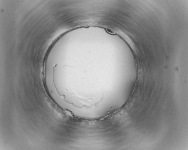 X0000088571051200706151641