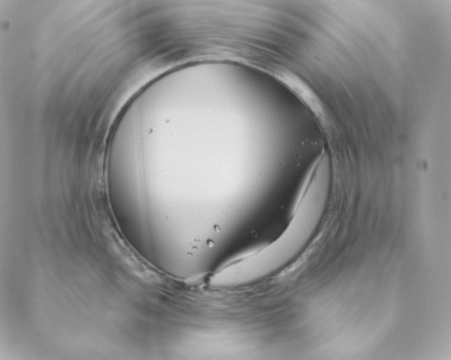 X0000088571052200706151641