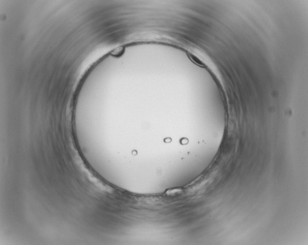 X0000088571053200706151642