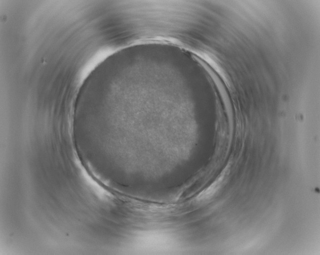 X0000088571054200706151642