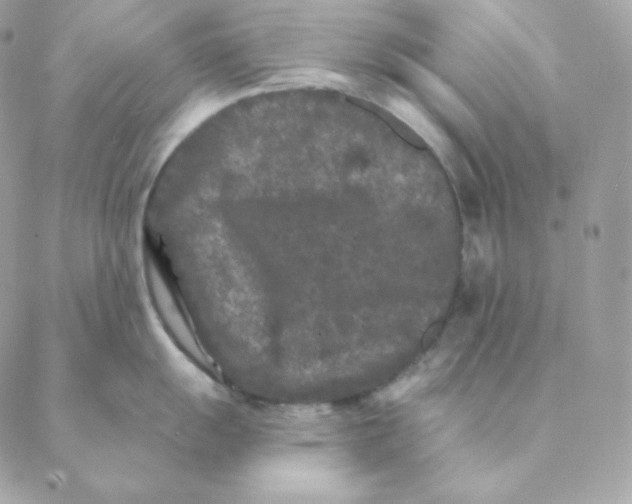 X0000088571055200706151642