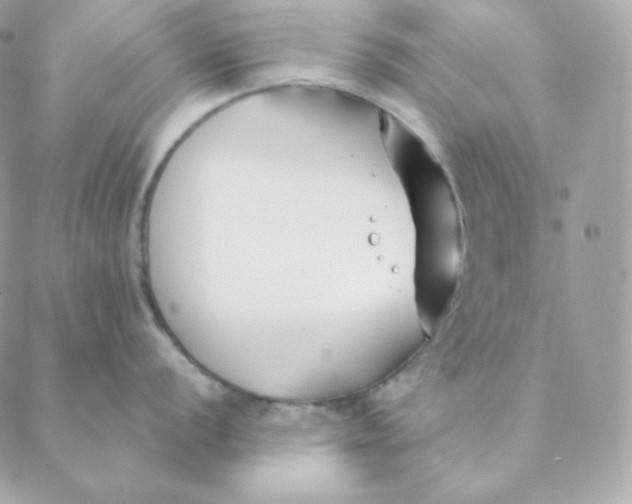 X0000088571056200706151642