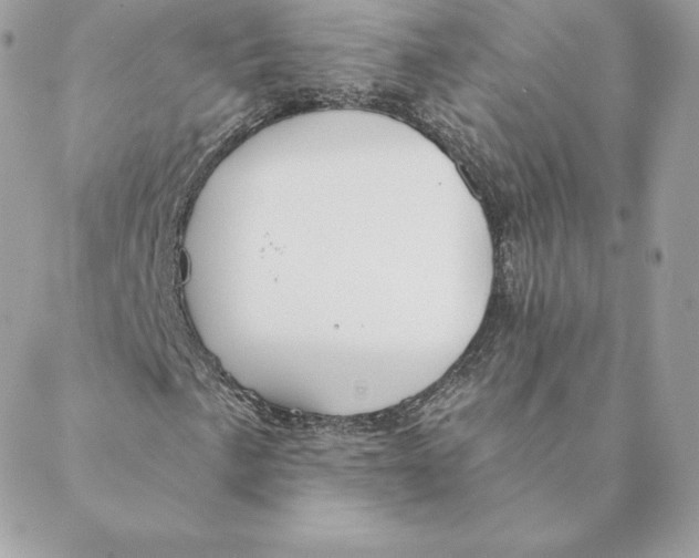 X0000088571057200706151641