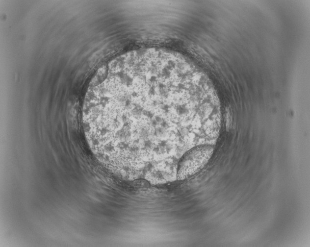 X0000088571059200706151641