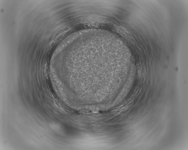 X0000088571060200706151641