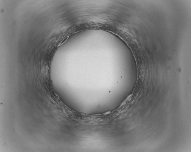 X0000088571061200706151641