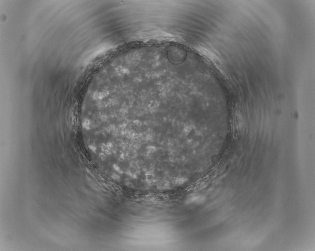 X0000088571063200706151641