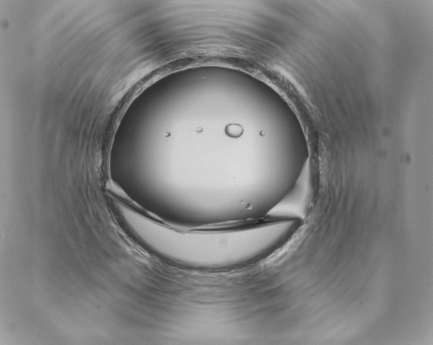 X0000088571065200706151641