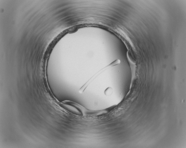 X0000088571068200706151641