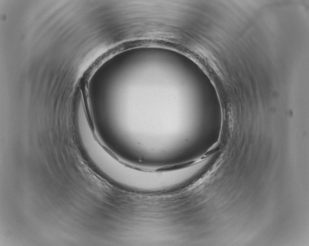 X0000088571069200706151641