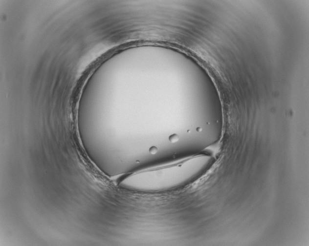 X0000088571070200706151641