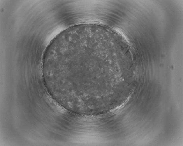 X0000088571071200706151641