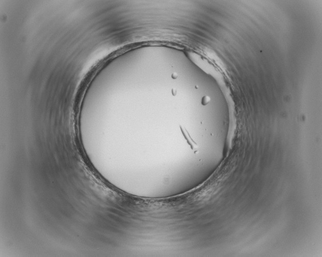 X0000088571072200706151641