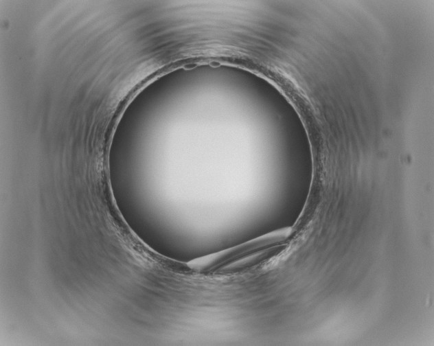 X0000088571073200706151641