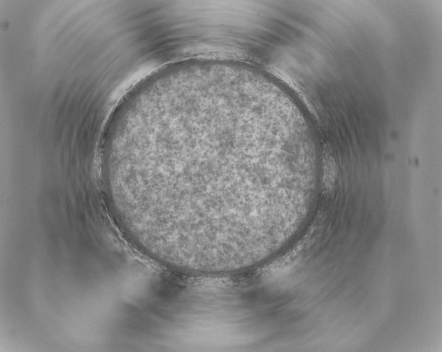 X0000088571074200706151640