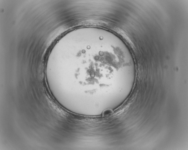 X0000088571075200706151640