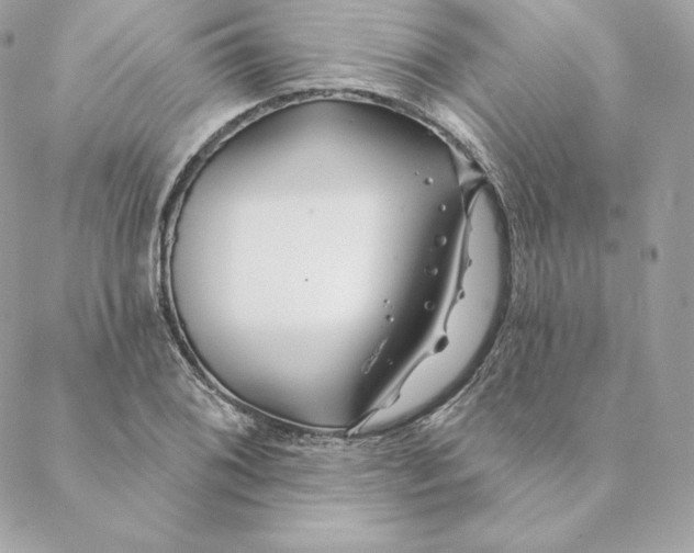 X0000088571076200706151640