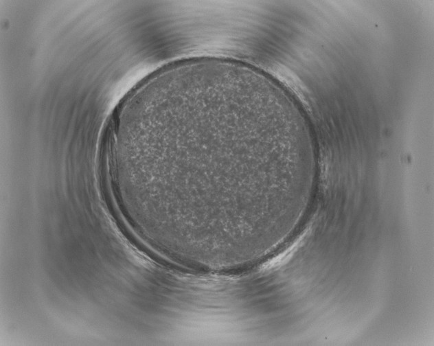 X0000088571077200706151640