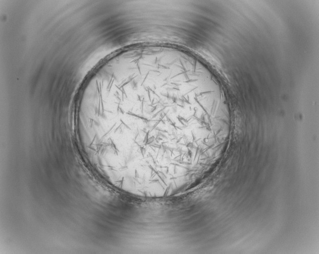 X0000088571078200706151640