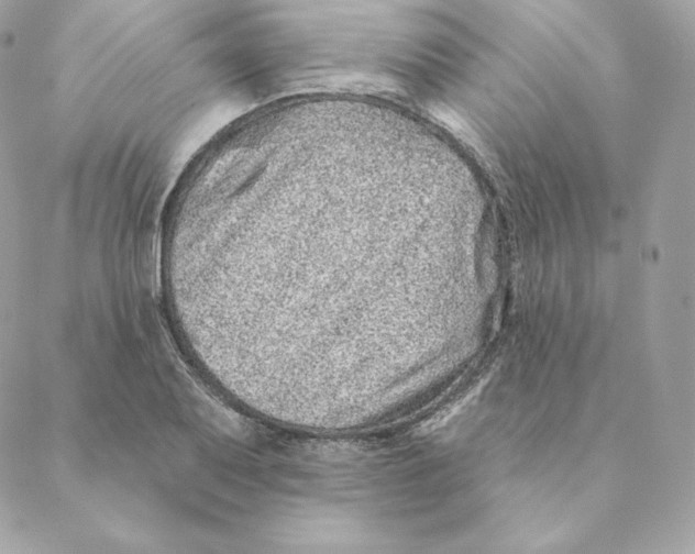 X0000088571079200706151640