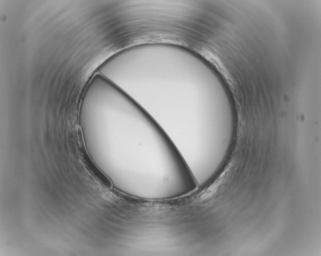 X0000088571081200706151640