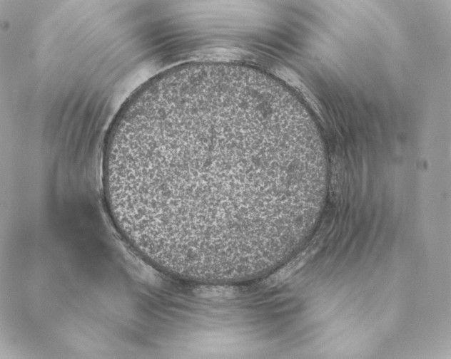 X0000088571083200706151640