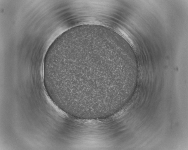 X0000088571084200706151640