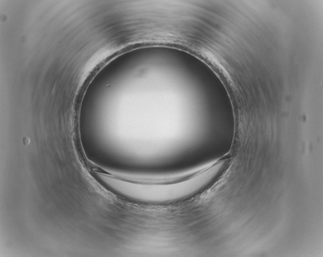 X0000088571085200706151640