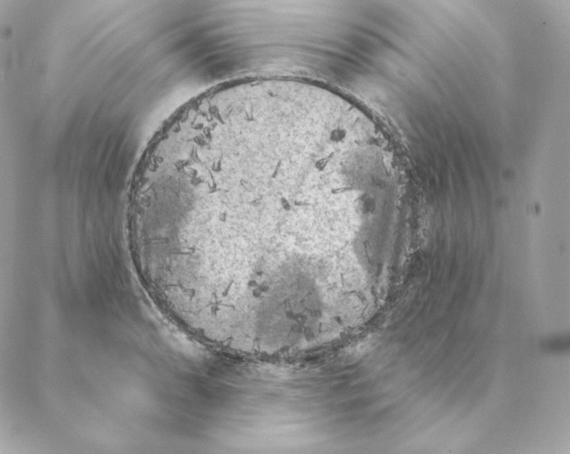 X0000088571086200706151640