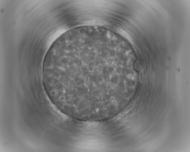 X0000088571087200706151640