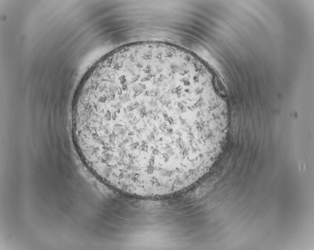 X0000088571088200706151640