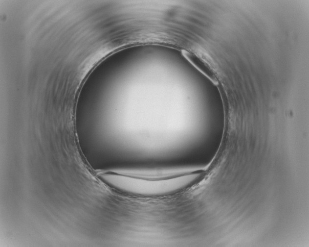 X0000088571089200706151640