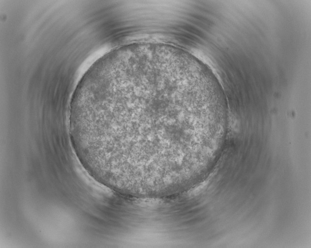 X0000088571090200706151640